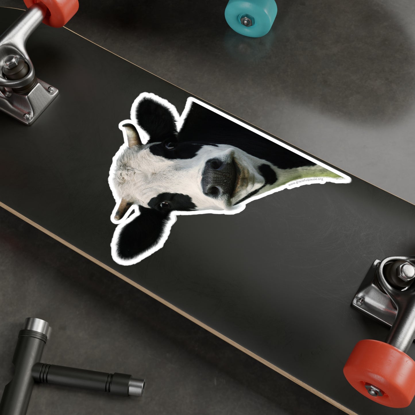Staring Cow - indoor/outdoor Kiss-Cut Vinyl Decals