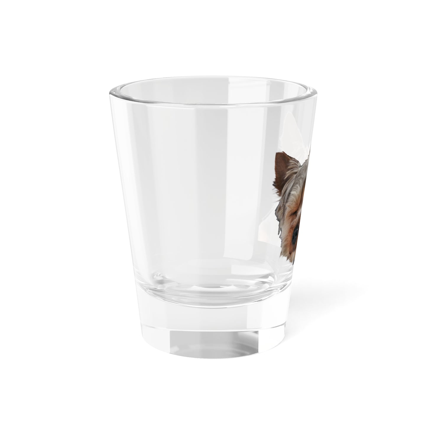 Dog giving evil eye - Shot Glass, 1.5oz