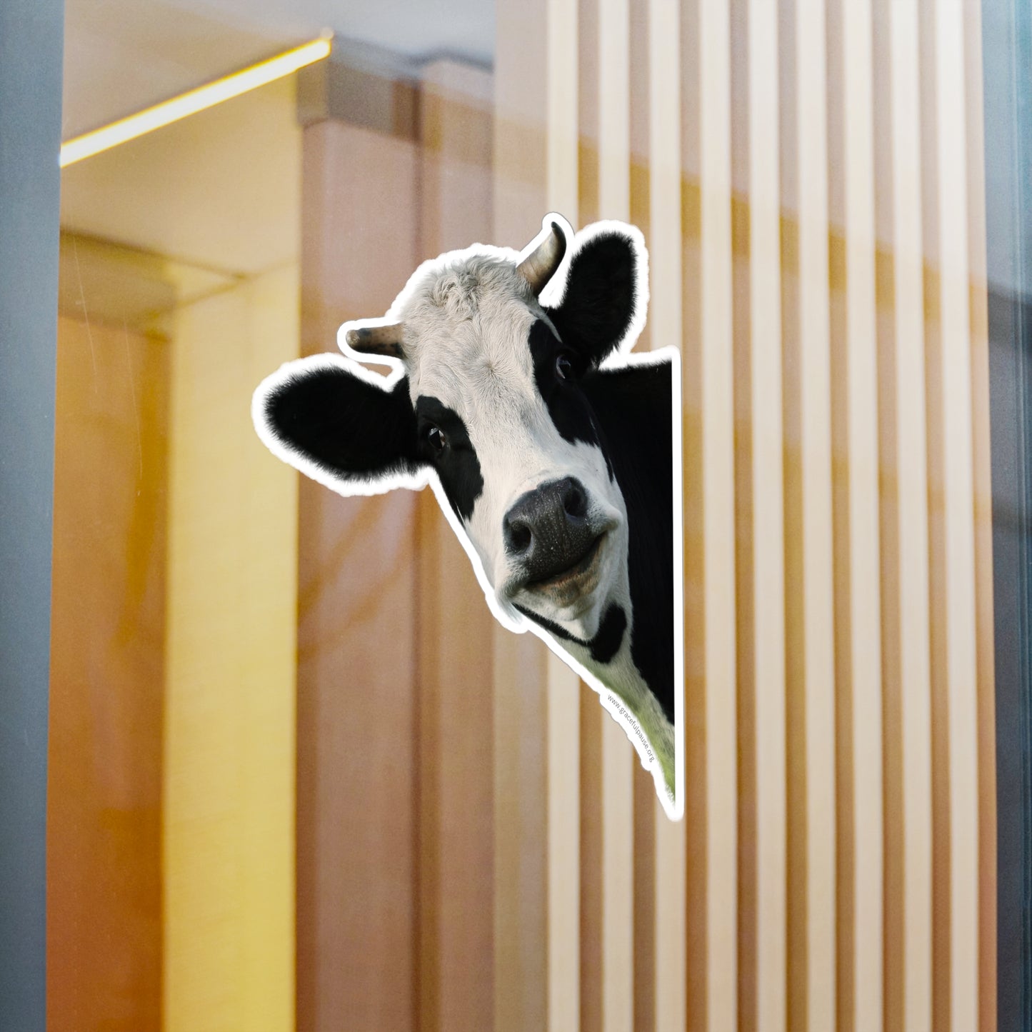 Staring Cow - indoor/outdoor Kiss-Cut Vinyl Decals