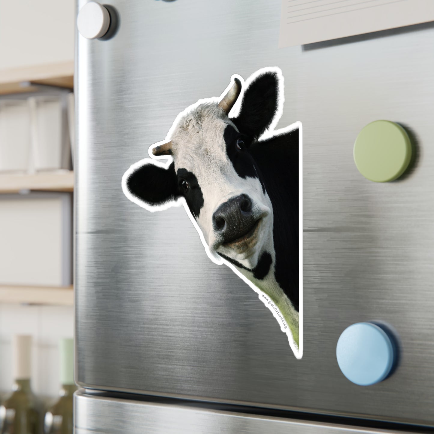 Staring Cow - indoor/outdoor Kiss-Cut Vinyl Decals